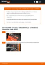 PDF manuale di sostituzione: Spazzole tergicristallo CITROËN C8 (EA_, EB_) posteriore e anteriore