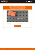 Podrobný PDF tutorial k výmene CITROËN JUMPER Platform/Chassis (244) Klinový rebrovaný remen