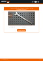 Jak vyměnit Klinovy zebrovany remen PEUGEOT udělej si sám - online návody pdf