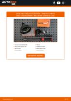 MINI Hatchback (R56) 2009 javítási és kezelési útmutató pdf