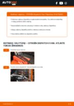 Instrukcijos PDF apie JUMPY priežiūrą