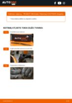PEUGEOT 306 Box Body / Hatchback remonto ir priežiūros instrukcija