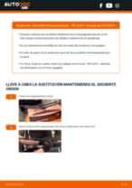 Descubra nuestro detallado tutorial sobre cómo solucionar el problema de Escobillas de parabrisas traseras y delanteras VW