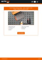 Kuidas vahetada Esitule pirn LED ja Xenon OPEL COMBO Box Body / Estate (X12) - juhend online