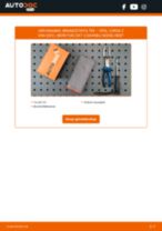 Complete DIY-gids voor OPEL CORSA C Box (F08, W5L)-onderhoud en reparatie