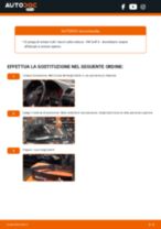 Cambio Lampadina Luce Targa VW SHARAN: guida pdf