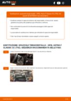 Manuale Astra F Classic CC (T92) 1.6 i 16V (F08, M08, F68, M68) PDF: risoluzione dei problemi