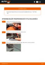 Jak wymienić Drążek wspornik stabilizator tylne i przednie DACIA SPRING - instrukcje online