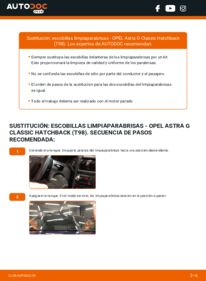 Cómo sustitución de Escobillas de Limpiaparabrisas 1.4 16V (F08, F48) Opel Astra G Classic