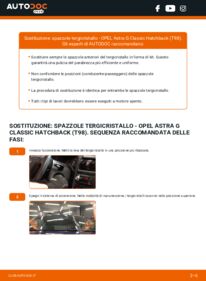 Sostituzione di Tergicristalli Opel Astra G Classic 1.4 16V (F08, F48)
