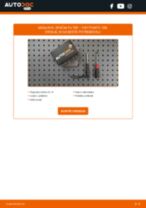 Menjava Zracni filter FIAT PUNTO (188): vodič pdf
