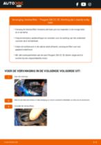 De professionele reparatiehandleiding voor Brandstoffilter-vervanging in je Peugeot 206 cc 2d 1.6 HDi 110