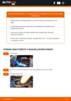 Podrobný PDF tutorial k výmene PEUGEOT 206 CC (2D) Kabínový filter