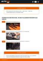 Wie Radlagersatz hinten und vorne beim Dacia Duster 2 tauschen - Online-Anweisung