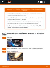 Cómo sustitución de Filtro de Habitáculo 1.6 16V (2DNFUF, 2DNFUR) Peugeot 206 CC