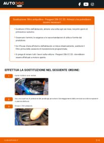 Sostituzione di Filtro Antipolline Peugeot 206 cc 2d 1.6 16V (2DNFUF, 2DNFUR)