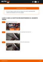 La guía profesional para realizar la sustitución de Escobillas de Limpiaparabrisas en tu Opel Zafira B 1.9 CDTI (M75)