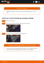 Manuale online su come cambiare Cilindro maestro comando freno Citroen DS3 Cabrio