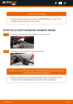 Come cambiare Spazzole tergicristallo anteriore e posteriore Mercedes R231 - manuale online