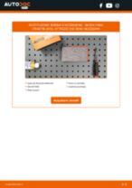 Cambio Kit Cinghie Poly-V SKODA ENYAQ: guida pdf