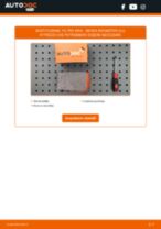 Cambio Filtro aria motore SKODA da soli - manuale online pdf