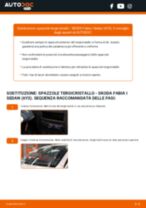 Sostituzione di Tergicristalli su Skoda Fabia 6y Sedan 1.4 16V: la guida professionale