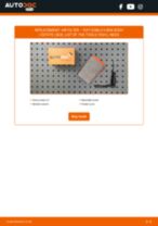DOBLO Box Body / Estate (263) 1.3 D Multijet workshop manual online