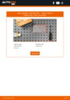 SKODA ROOMSTER change Accessory Kit, disc brake pads : guide pdf