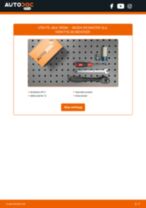 DIY-manual för byte av Multirem i SKODA ROOMSTER