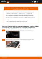Cambio Escobillas de Limpiaparabrisas traseras y delanteras SKODA FABIA (6Y2): guía pdf