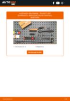 PEUGEOT 305 I Break (581D) Montagesatz Abgasanlage tauschen: Handbuch pdf