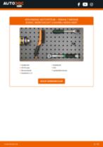 Stap-voor-stap PDF-handleidingen over het veranderen van RENAULT MEGANE Scenic (JA0/1_) Motorsteun