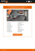 Tiešsaistes rokasgrāmata, kā mainīties Bremžu suports uz FIAT 900 T/E Panorama (200_)