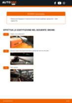 Cambiare Kit Frizione OPEL ZAFIRA: manuale tecnico d'officina