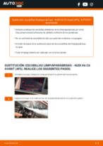 Manual online sobre el cambio de Escobilla limpiaparabrisas por su cuenta en AUDI A6 Avant (4F5, C6)