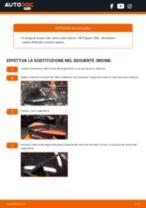 Sostituzione Tergicristalli anteriore e posteriore VW TIGUAN: tutorial PDF passo-passo