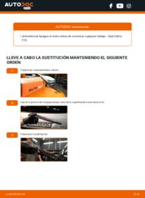 Cómo sustitución de Escobillas de Limpiaparabrisas 2.0 DTI 16V (F75) Opel Zafira A