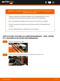 Cómo sustitución de Escobillas de Limpiaparabrisas 2.0 DTI 16V (F75) Opel Zafira A