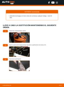 Cómo sustitución de Escobillas de Limpiaparabrisas 2.0 TDI 16V Audi A3 Sportback 8P