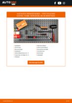 FORD TRANSIT Custom Katalysator tauschen: Handbuch pdf