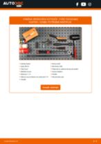 Manuální PDF pro údržbu Focus Mk2 Kasten / Combi 1.8 Flexifuel