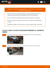 Cómo sustitución de Escobillas de Limpiaparabrisas 2.0 TDI Audi A4 B8
