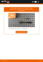 Tutorial paso a paso en PDF sobre el cambio de Caja Cojinete Rueda en Peugeot RCZ Coupé