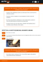 PDF manuale di sostituzione: Filtro antipolline PEUGEOT 206 2 volumi /Coda spiovente (2A/C) carbone attivo e antibatterico