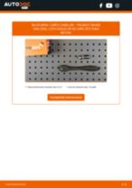 Manuale de depanare pentru PEUGEOT BOXER 2016 online