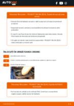 Consultă tutorialele noastre informative în format PDF despre mentenanța și reparațiile PEUGEOT 206 SW (2E/K)