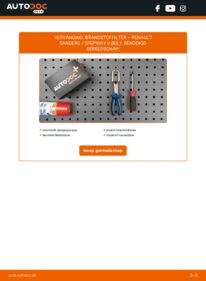 Vervangen: Brandstoffilter 1.5 dCi Renault Sandero Stepway 2