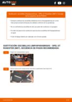 Manual de taller para GT Roadster (M07) 2.0 (G67) en línea
