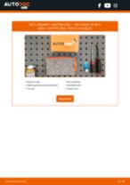 Passat B7 Box Body / Estate (365) 1.4 TSi BlueMotion manual pdf free download