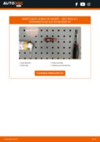 Manual online sobre a substituição de Unidade de bobinas de ignição em SEAT IBIZA IV (6L1)